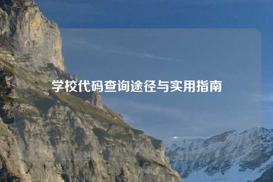 学校代码查询途径与实用指南
