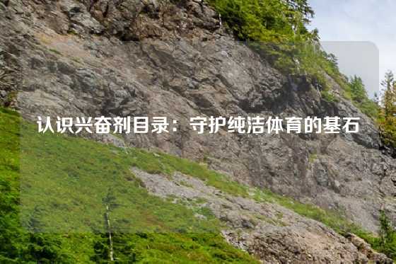 认识兴奋剂目录:守护纯洁体育的基石