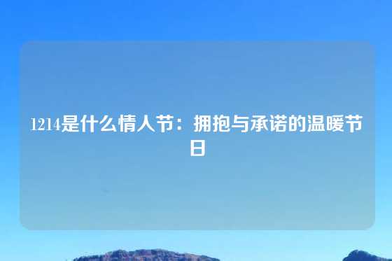 1214是什么情人节：拥抱与承诺的温暖节日