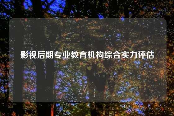 影视后期专业教育机构综合实力评估