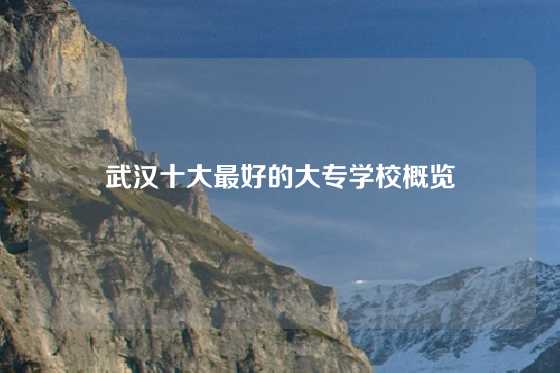 武汉十大最好的大专学校概览