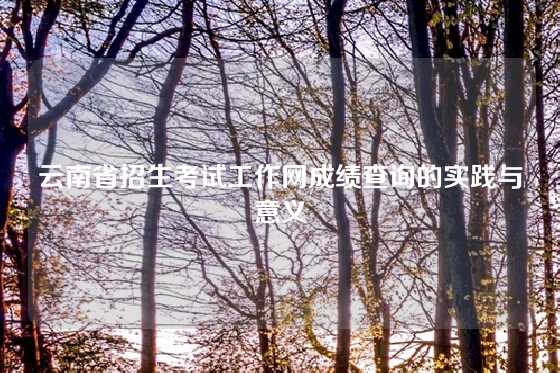 云南省招生考试工作网成绩查询的实践与意义