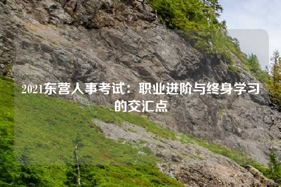 2021东营人事考试:职业进阶与终身学习的交汇点