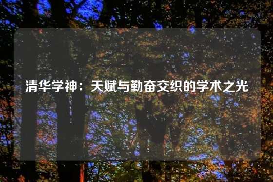 清华学神：天赋与勤奋交织的学术之光